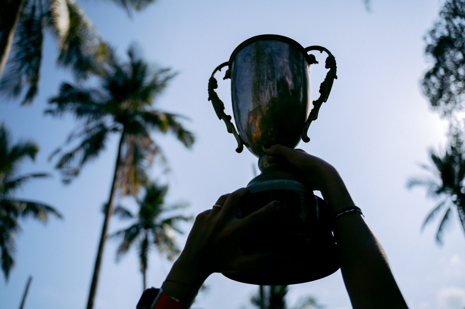 Silhouetted hands raise a trophy against a tropical palm tree backdrop, symbolizing victory.